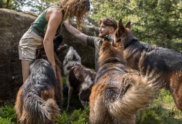 Maiya, a dog walker in harrogate walking dogs with another dog walker