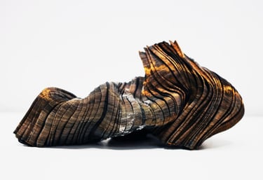 Sarah Krespin Mutation 2019