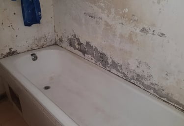 Condensation damp inspection Roodepoort