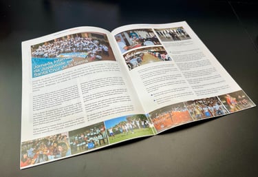 Layout revista, paginação e diagramação de artigos.