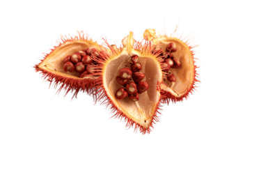 Discover the power of annatto-derived tocotrienol and gersnylgeraniol