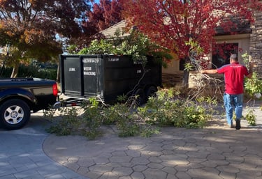 Yard  Cleanups
