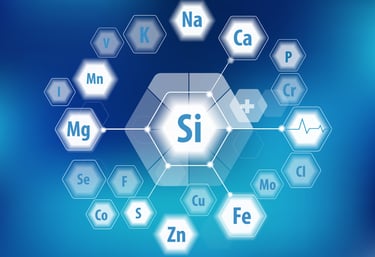 a diagram showing dietary silicon as a mineral for horses