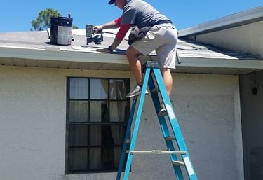a man on a ladder ladder to get a picture of a dog