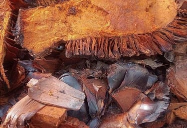 proceso del mezcal artesanal