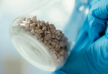 Mätning av kornstorlekar i Littaks lab