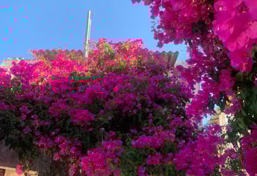 village traditionnel