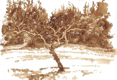 Dessin de paysage au lavis de brou de noix représentant un arbre. 