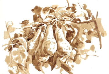 Dessin de paysage au lavis de brou de noix représentant un poirier. 