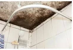 2026-black-mildew-moulds-in-house-bathroom-ill-health-risks-webp