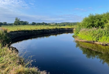 River Teign Newton Abbot