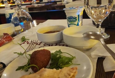 Urfa Sıra Gecesi | Gap Sıra Geceleri