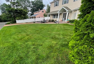 Large mowed green grass lawn in front of a tan residential two-story suburban home.