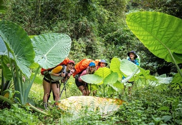 Bukit Lawang Trekking