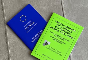 Microchip y pasaporte para perros y gatos a domicilio