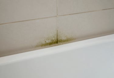 black blue and yellow textile