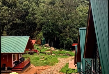 a path leading to a small cabin with a view of the mountains