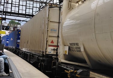 A freight train with cargo containers and a white tanker parked at a railway station terminal.