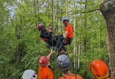 a man on a rope rope climbing in the woods