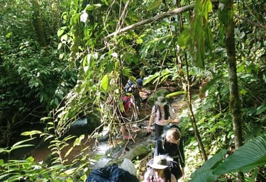 a group of people walking through the jungle