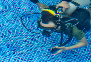 Seftv Underwater Scuba Diving