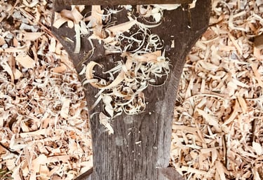 a wooden spoon spoon spoons and a wooden spoon