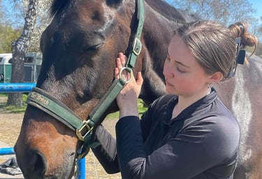 Hesteterapeut på Bornholm arbejder med en hest i et roligt udendørs miljø