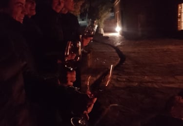 Jujuy - Viñas de Urquía - Cata bajo las estrellas
