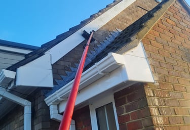 Window fed pole cleaning fascia