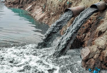 CONSUMO CON RESPONSABILIDAD