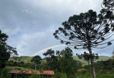 Rainbow over roof and zag