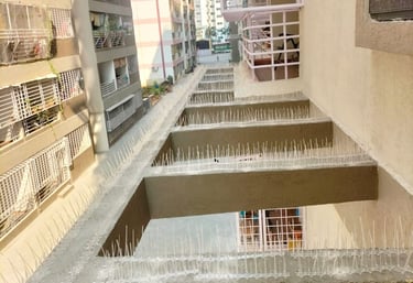 bird spikes installation by arjilli safety nets