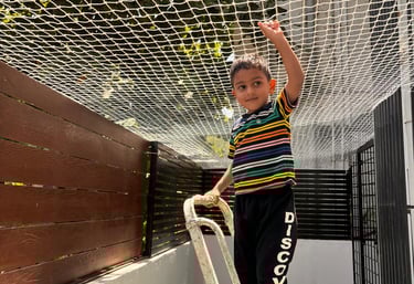 children safety nets installation 