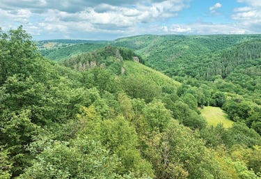 Ninglinspo, Trail, 30km