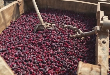 Close-up of a bubbling homebrew fermenter next to a wooden board with cheese wheels and winemaking jars.
