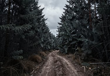A narrow, muddy trail path leading deep into a dense dark slate grey forest under an overcast, moody sky.
