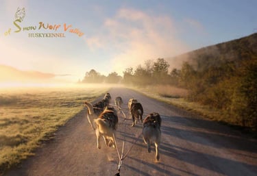 Husky-Ausfahrt bei Sonnenaufgang im schönen Altmühltal in Bayern.
