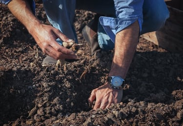 Matthieu Mehuys is a regenerative landscape architect