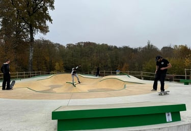 Skate Park de Serre Les Sapins