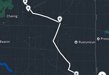 Colorful drawing of a digital map showing multiple patrol routes with icons marking checkpoints.