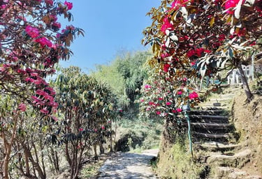 Okhrey Homestay