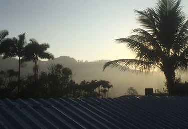 Technical communicator Ramsay Malange professional