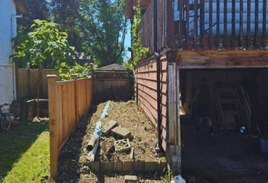 Blackberry removal After pic