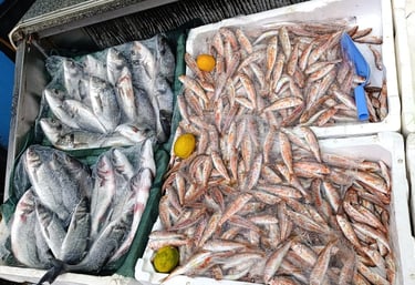 Karasu balıkçılık