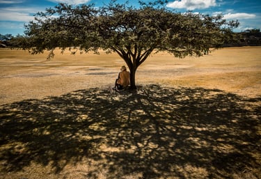 Under the intense midday sun of southern Mexico, a man takes refuge in the beautiful shade of a tree