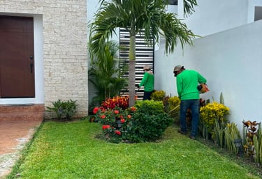 Asesoría para jardines en merida yucatan