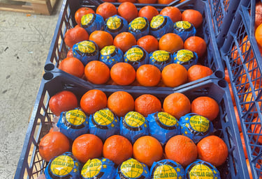 a crate of oranges in a crate of oranges