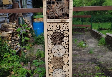 Hotel dla dzikich zapylaczy