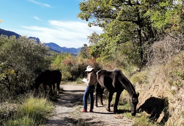 a woman is standing next to a grazing horse in a beautiful mountain landscape, reading a book. 
