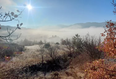 a view of a mountain in the morning mist with a sun shining through the trees
